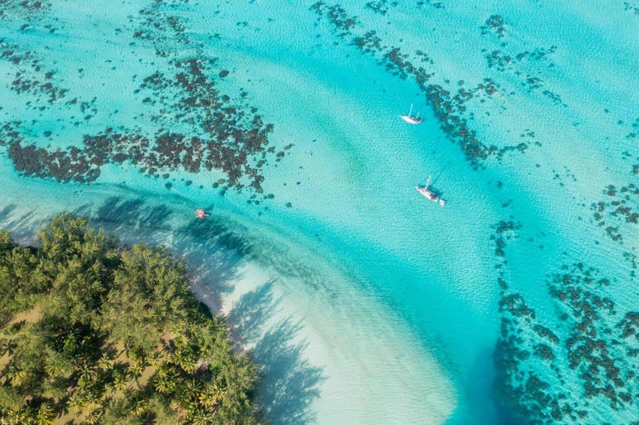 Motu Nao Nao Private Island Villa Opoa Eksteriør billede
